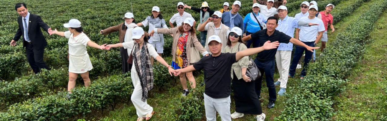 Tea Tour Bảo Lộc - Đà Lạt 03 ngày 02 đêm