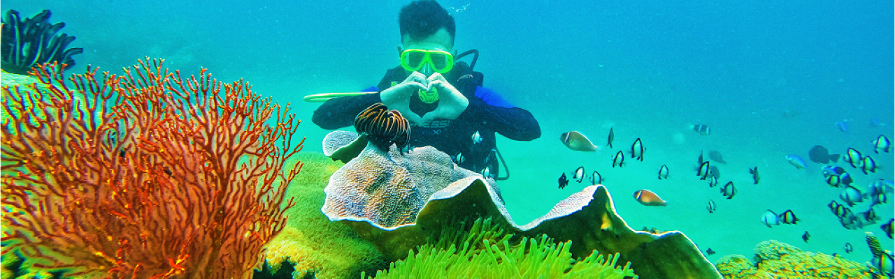 Tái tạo rạn san hô, Bảo tồn biển miền Trung