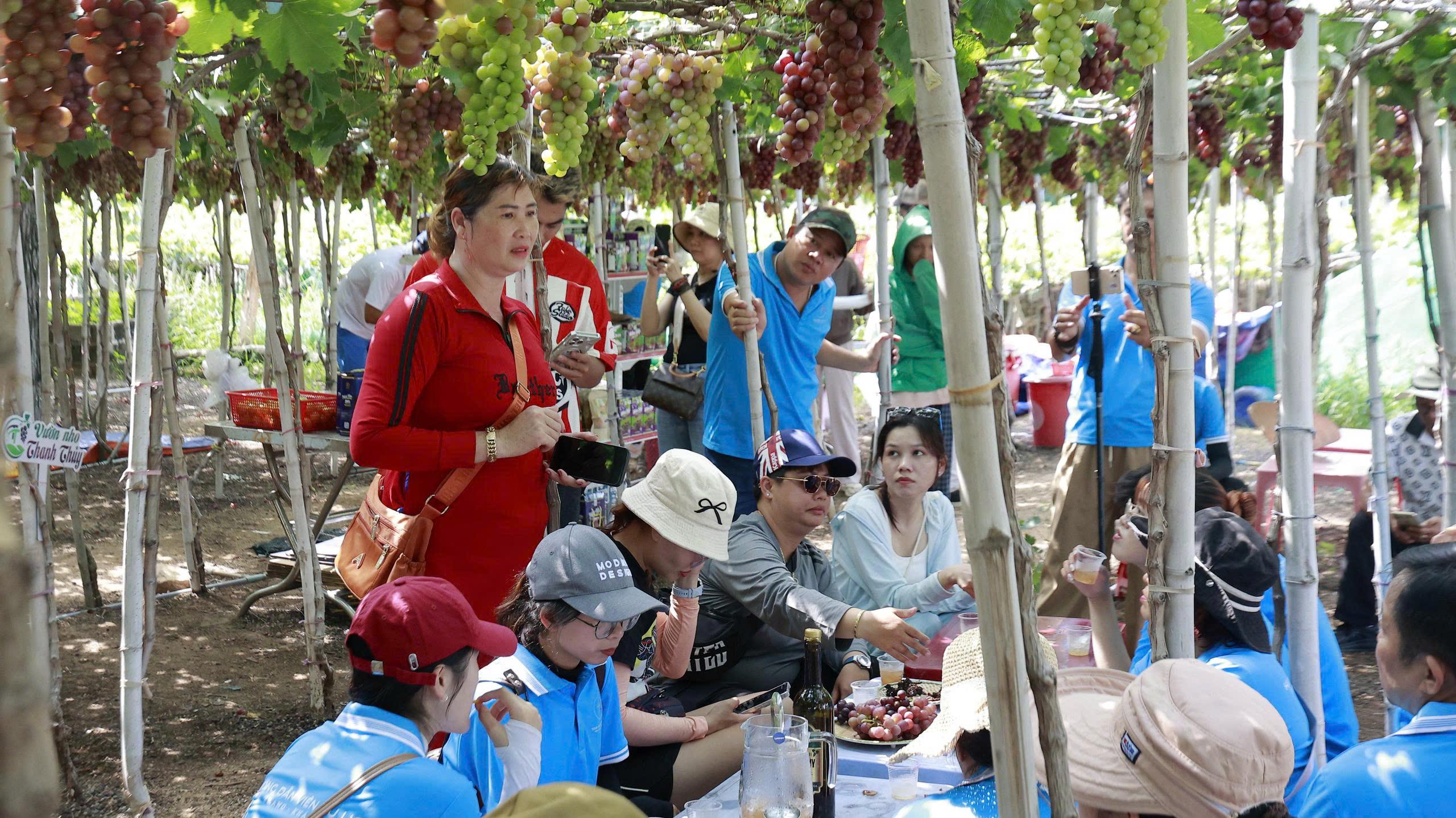 Eco-tourism & Relaxation in Khanh Hoa